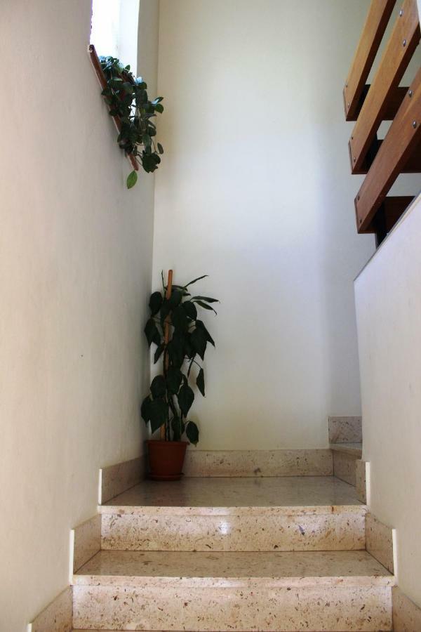 Apartments Markov מורטר מראה חיצוני תמונה